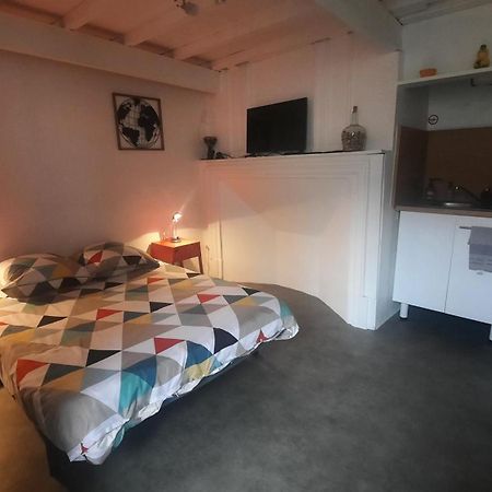 شقة Promo24-31Mai 4Personnes Toulouse 15Mn 4 Lits Cuisine Sde Wc Montastruc-la-Conseillère المظهر الخارجي الصورة