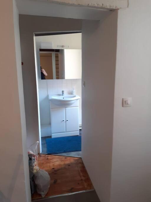 شقة Promo24-31Mai 4Personnes Toulouse 15Mn 4 Lits Cuisine Sde Wc Montastruc-la-Conseillère المظهر الخارجي الصورة