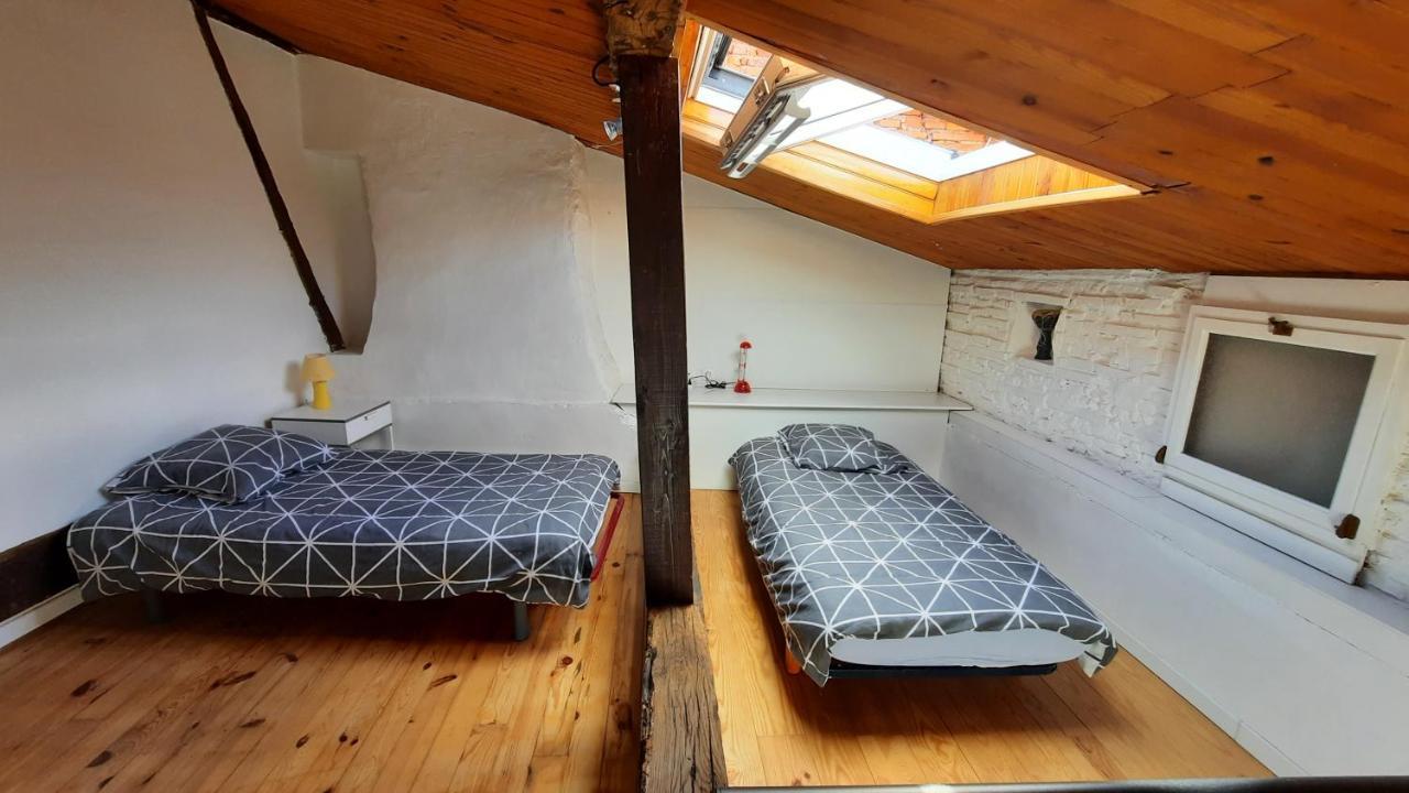 شقة Promo24-31Mai 4Personnes Toulouse 15Mn 4 Lits Cuisine Sde Wc Montastruc-la-Conseillère المظهر الخارجي الصورة